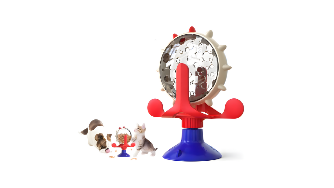 5 Gadgets to Keep Your Indoor Cat Entertained – Smart & Fun Cat Toys