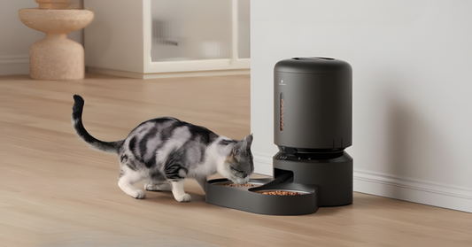 Automatic Pet Feeder - Smart Feeding Made Easy