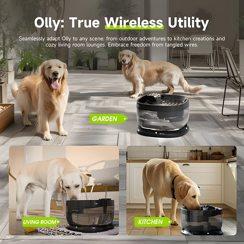 APETDOLA Wireless Dog Water Fountain – 7L Automatic Ultra-Quiet Dispenser with 3 Modes for Large Dogs