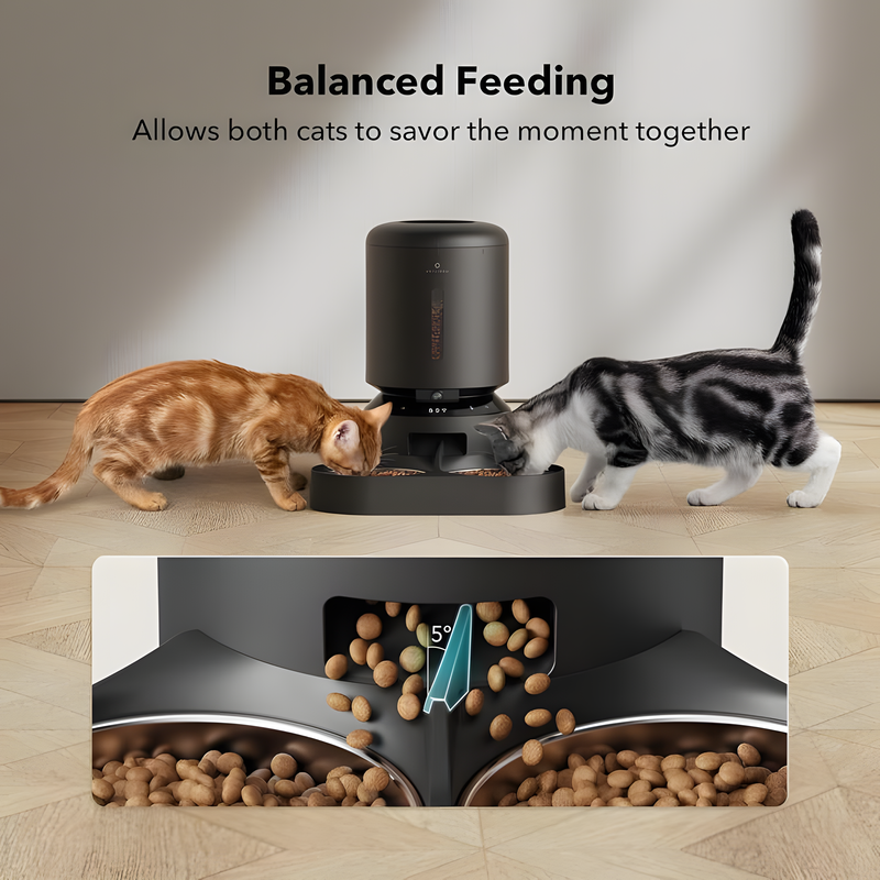 Pet's Feeding Routine with the Automatic Feeder - 1080P HD Camera, 5G Wifi, and Two-Way for Cats and Dogs!