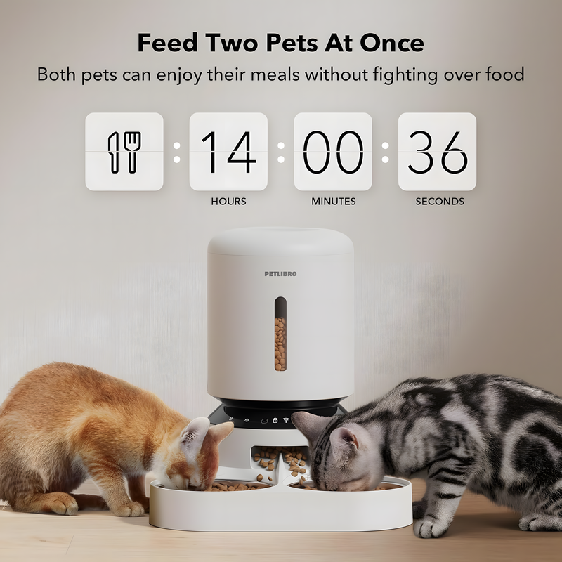 Pet's Feeding Routine with the Automatic Feeder - 1080P HD Camera, 5G Wifi, and Two-Way for Cats and Dogs!
