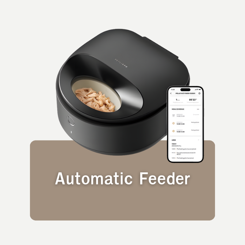 Feeding Pet Friends