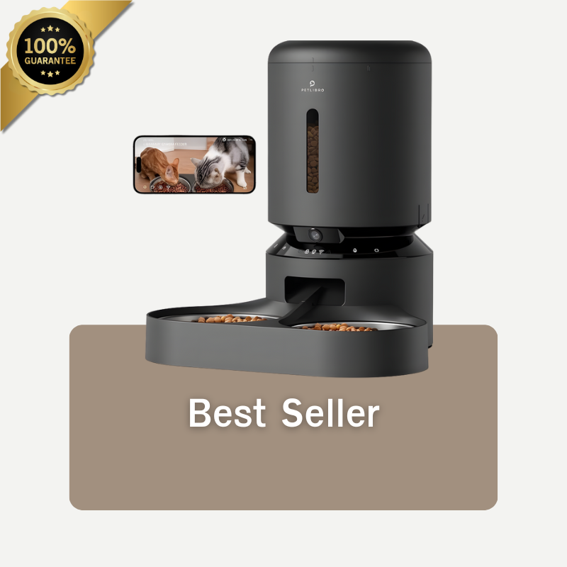 Best Sellers Your Pet Will Love!