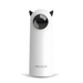 Automatic LED Cat Laser Toy – Interactive Smart Handheld Pet Teaser for Indoor Cats & Dogs
